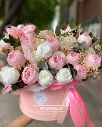 Caja Premium de 50 Peonias Rosa y Marfil