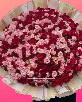 Ramo 600 rosas para amarte - Colección Imperial